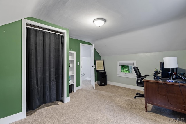 2803 Spielman Rd, Adrian, MI 49221 - home office featuring vaulted ceiling, carpet flooring, and baseboards