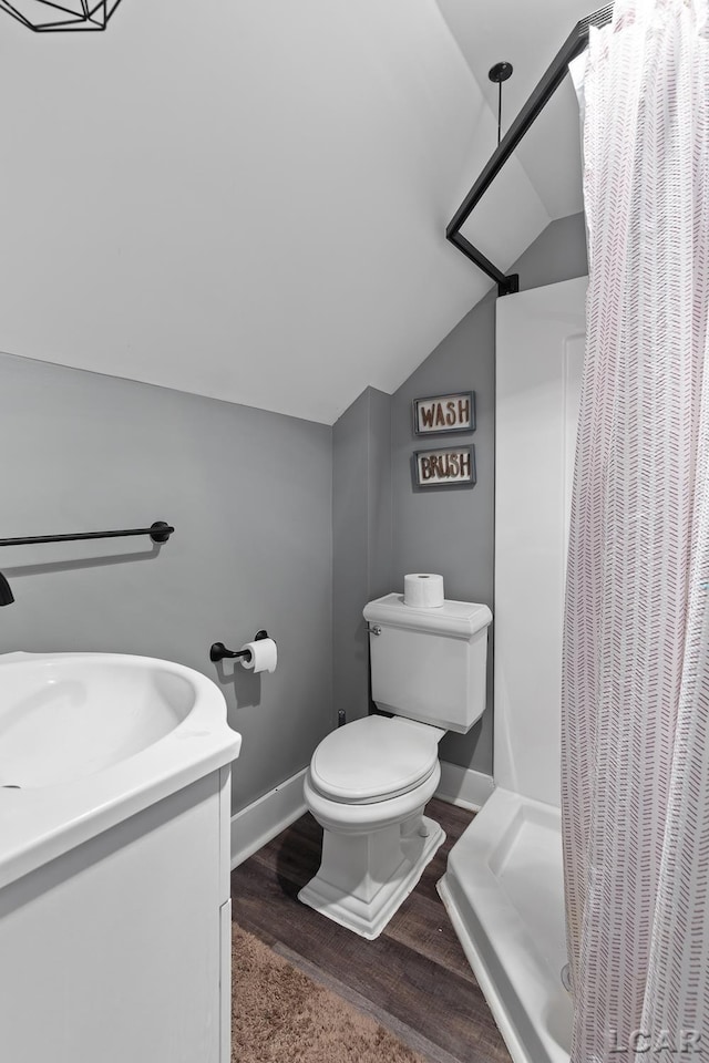 2803 Spielman Rd, Adrian, MI 49221 - full bathroom with lofted ceiling, toilet, a shower with shower curtain, vanity, and wood finished floors