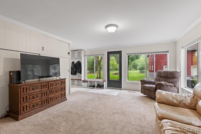 2803 Spielman Rd, Adrian, MI 49221 - carpeted living room with crown molding and healthy amount of natural light