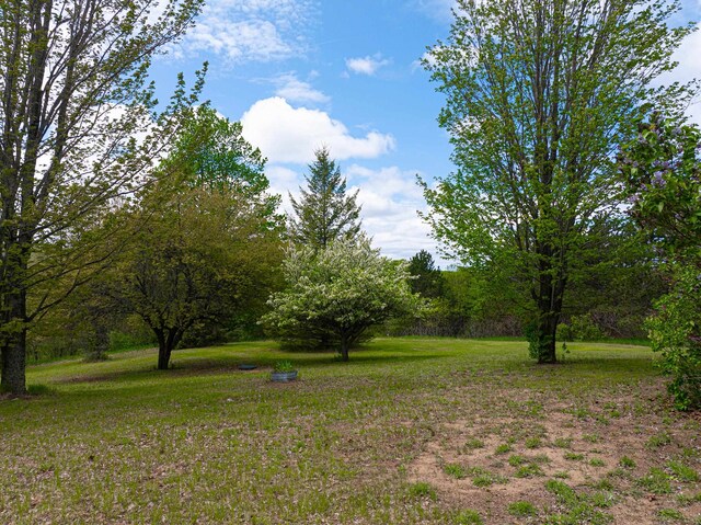8281 M-66, Fife Lake, MI 49633