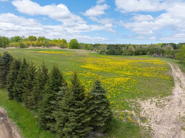 8281 M-66, Fife Lake, MI 49633