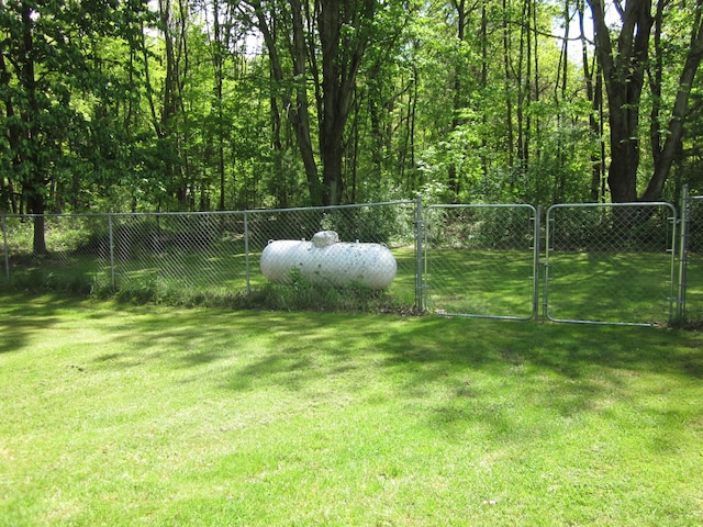 9303 County Road 653, Gobles, MI 49055 - view of yard with a gate