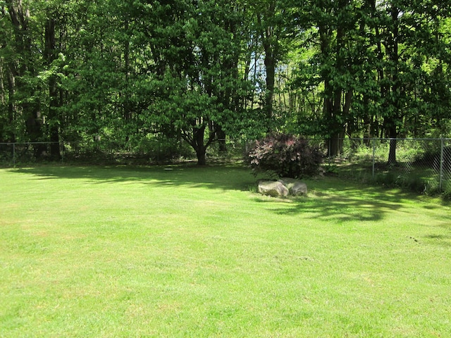 9303 County Road 653, Gobles, MI 49055 - view of yard