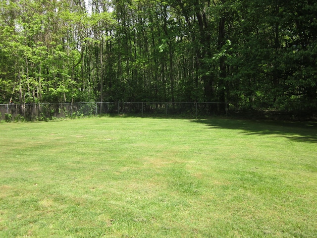 9303 County Road 653, Gobles, MI 49055 - view of yard