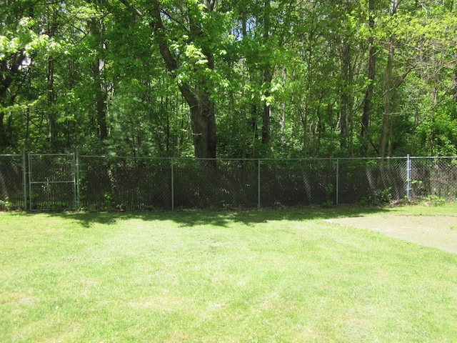 9303 County Road 653, Gobles, MI 49055 - view of yard