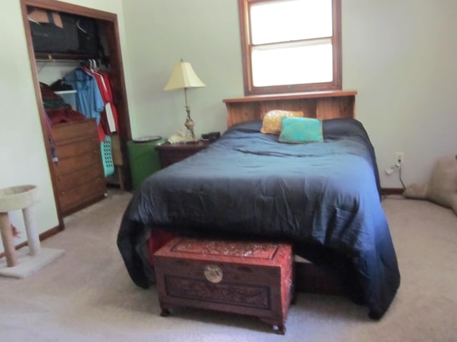 9303 County Road 653, Gobles, MI 49055 - carpeted bedroom featuring a closet