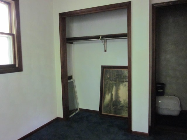 9303 County Road 653, Gobles, MI 49055 - view of closet