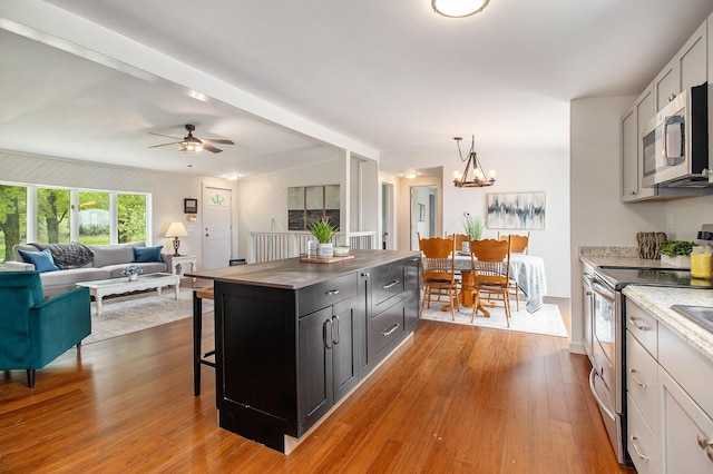 1981 E Wolf Rd, Hart, MI 49420 - kitchen featuring stainless steel appliances, dark cabinets, hardwood / wood-style floors, a kitchen bar, and light countertops