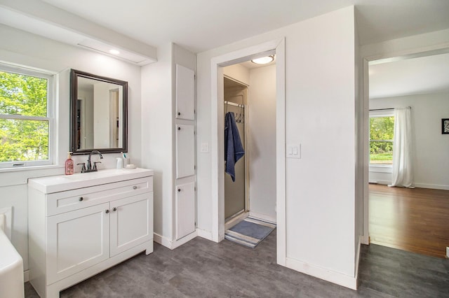 1981 E Wolf Rd, Hart, MI 49420 - bathroom with plenty of natural light, vanity, wood finished floors, and recessed lighting