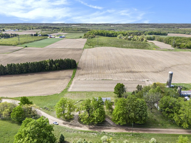 1981 E Wolf Rd, Hart, MI 49420 - aerial view of sparsely populated area with large plots for crops