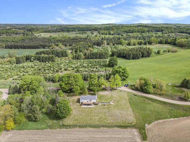 1981 E Wolf Rd, Hart, MI 49420 - overview of rural landscape featuring a forest