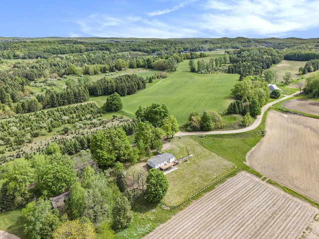 1981 E Wolf Rd, Hart, MI 49420 - view of property location featuring rural landscape