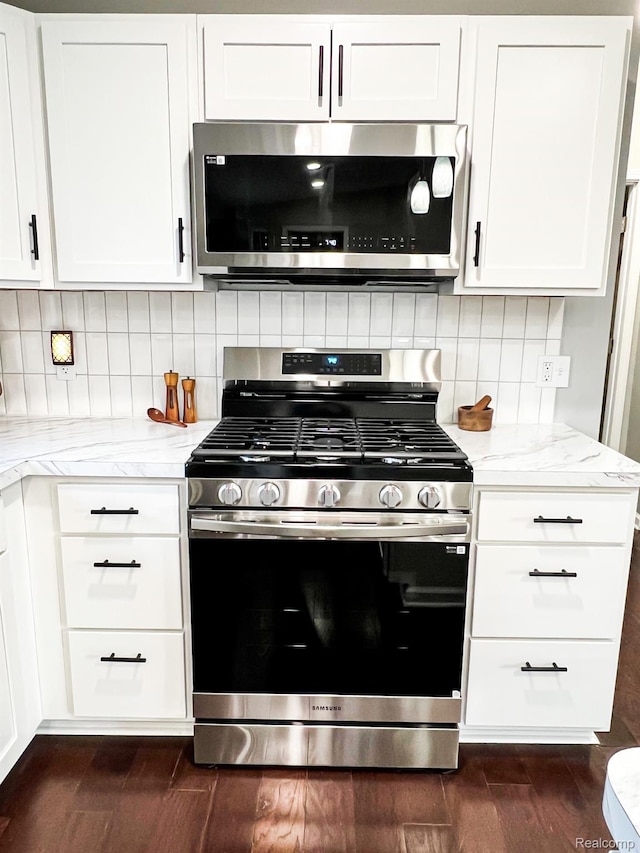 8909 E Country Ln, Lennon, MI 48449 - kitchen with stainless steel appliances, dark wood-type flooring, and light stone countertops
