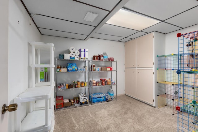 4239 Glen Hollow Dr, Hudsonville, MI 49426 - view of storage