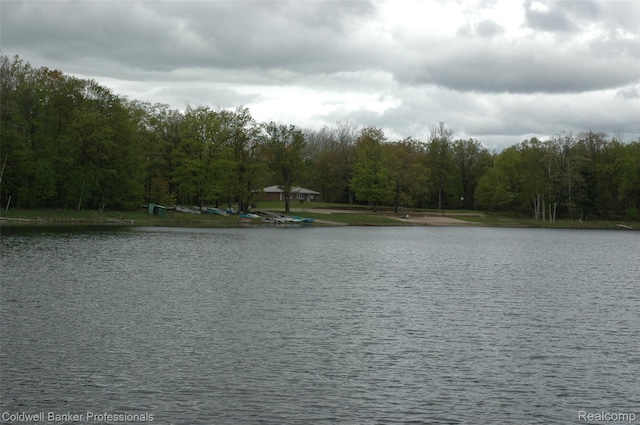 10118 Alpine Dr, Reed City, MI 49677 - photo 32
