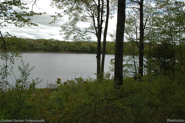 10118 Alpine Dr, Reed City, MI 49677 - photo 28