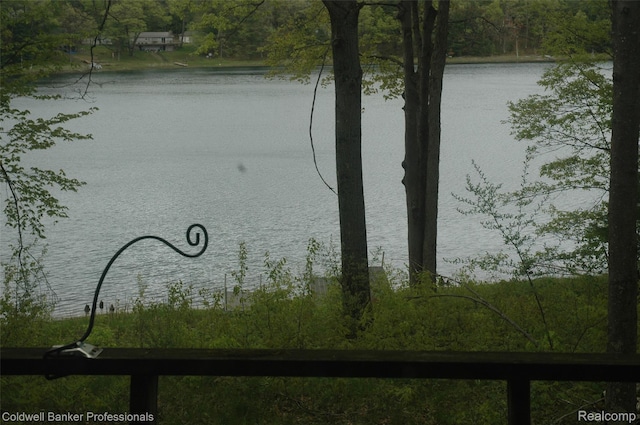 10118 Alpine Dr, Reed City, MI 49677 - photo 26
