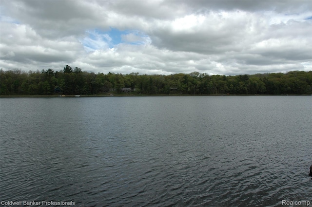 10118 Alpine Dr, Reed City, MI 49677 - photo 30