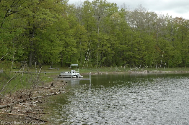 10118 Alpine Dr, Reed City, MI 49677 - photo 33