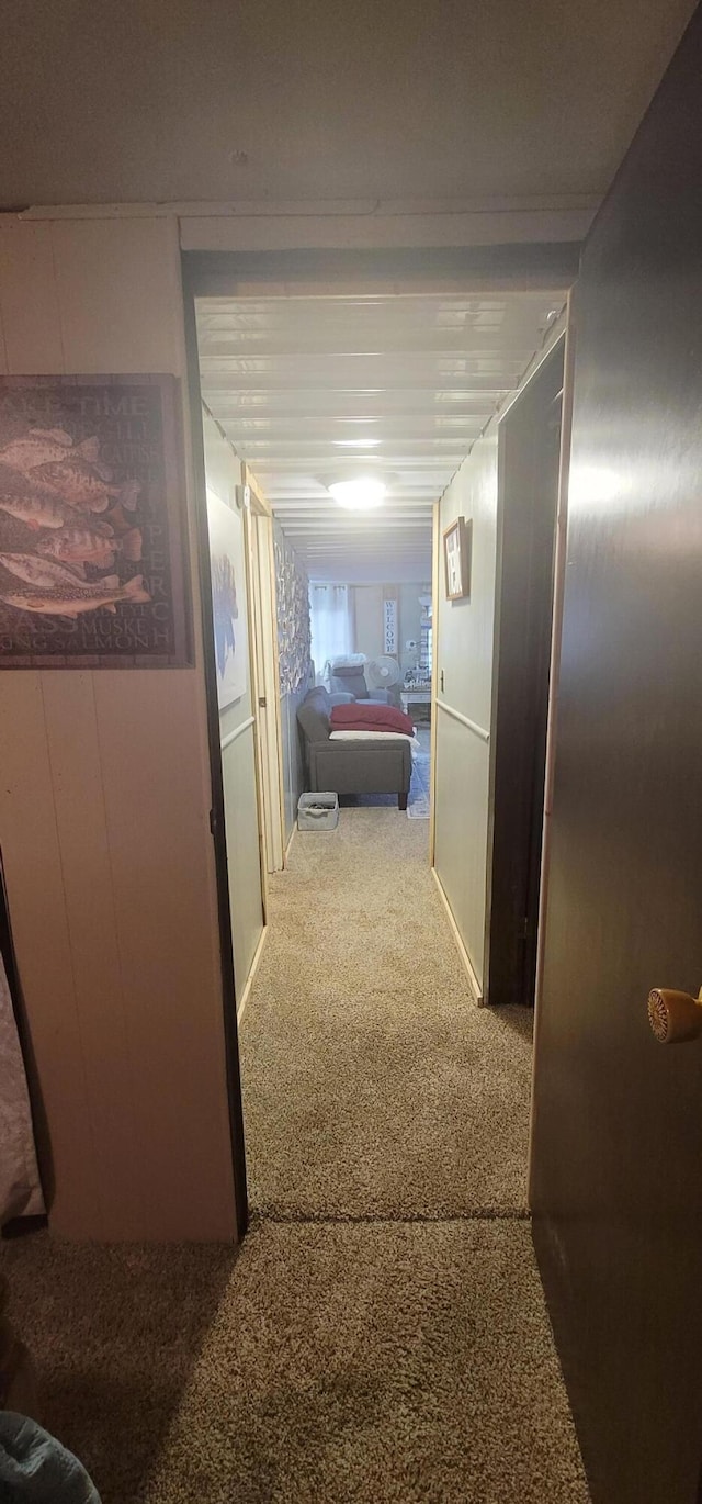 11384 N Irons Rd, Irons, MI 49644 - hallway with carpet