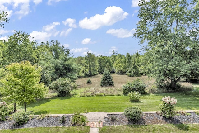 1780 Williamsburg Dr, Adrian, MI 49221 - view of grassy yard