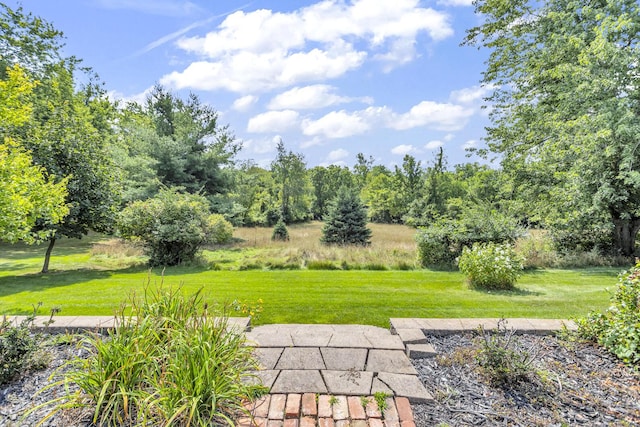 1780 Williamsburg Dr, Adrian, MI 49221 - view of grassy yard