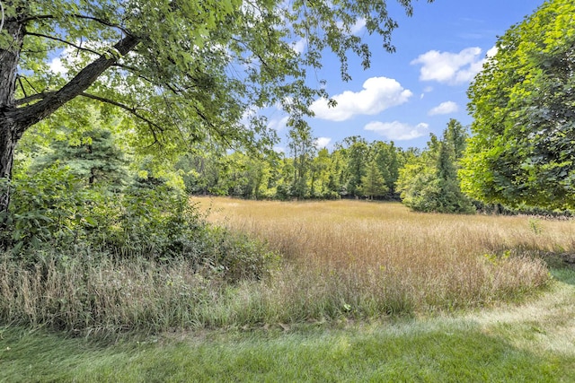 1780 Williamsburg Dr, Adrian, MI 49221 - view of tree filled area