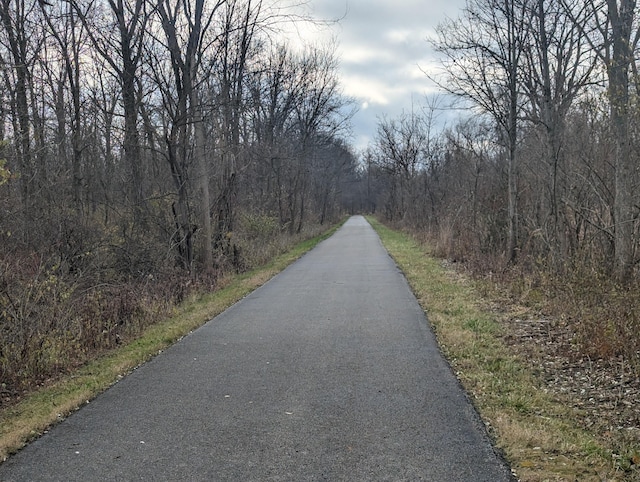 1780 Williamsburg Dr, Adrian, MI 49221 - view of road featuring a forest view