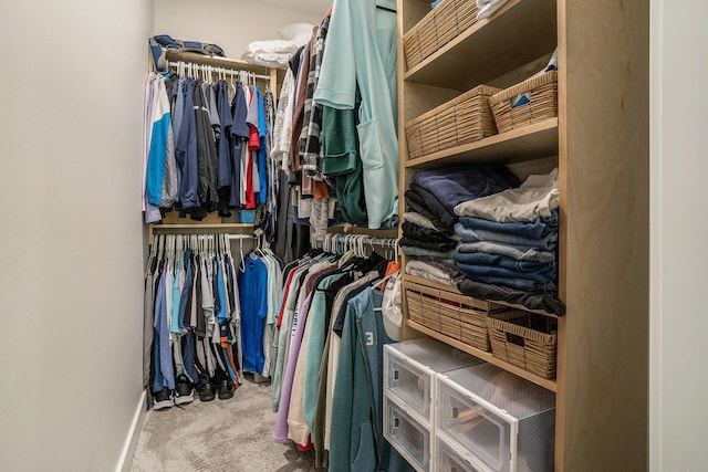 6617 Sheldon Crossing Dr, Hudsonville, MI 49426 - spacious closet featuring carpet
