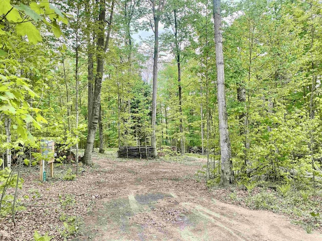 8320 Del Mason Rd, Mancelona, MI 49659