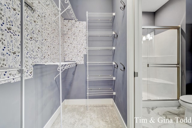 903 S Center Park Dr SW Unit 14, Byron Center, MI 49315 - view of walk in closet