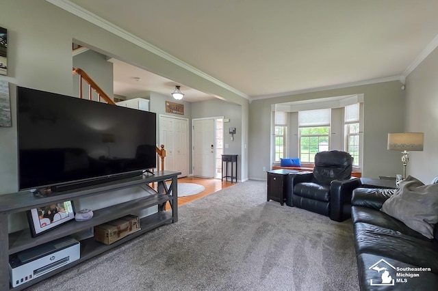 1997 Teton Ave, Monroe, MI 48162 - living area featuring ornamental molding, light colored carpet, stairway, and baseboards