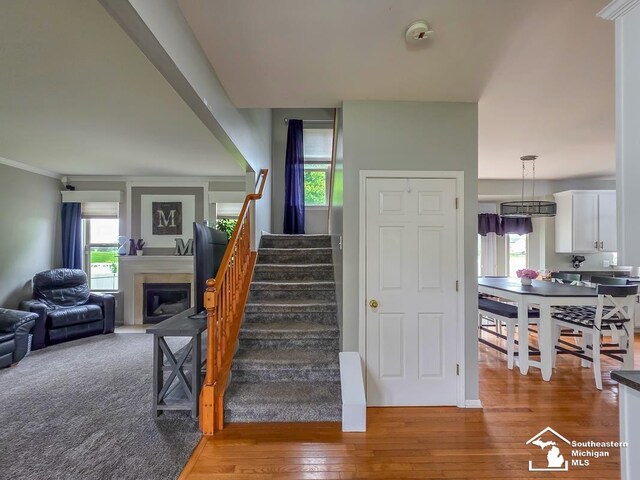 1997 Teton Ave, Monroe, MI 48162 - staircase featuring a fireplace with flush hearth, healthy amount of natural light, wood-type flooring, and crown molding