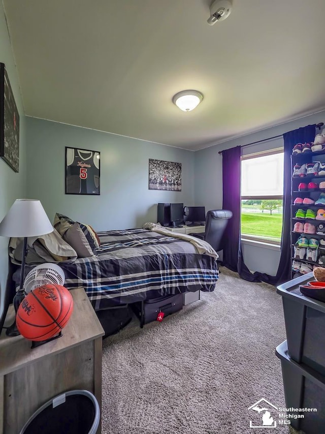 1997 Teton Ave, Monroe, MI 48162 - view of carpeted bedroom