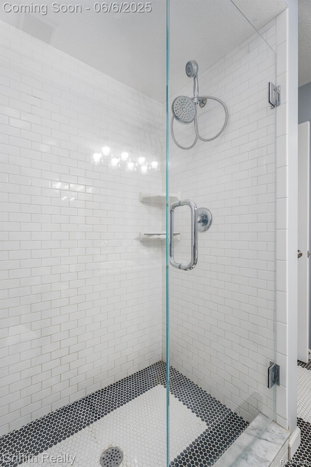 2870 Grand Marais Dr, Howell, MI 48843 - bathroom featuring a shower stall