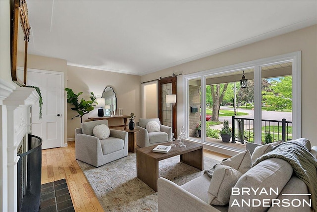 2120 Englewood Dr SE, East Grand Rapids, MI 49506 - living area featuring wood finished floors and a barn door
