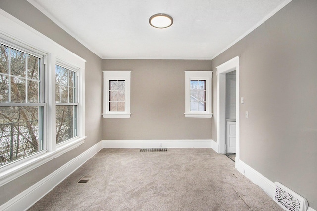 905 Lane Ave, Kalamazoo, MI 49001 - carpeted empty room featuring healthy amount of natural light, baseboards, and crown molding