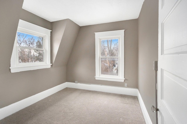 905 Lane Ave, Kalamazoo, MI 49001 - additional living space with carpet floors and baseboards
