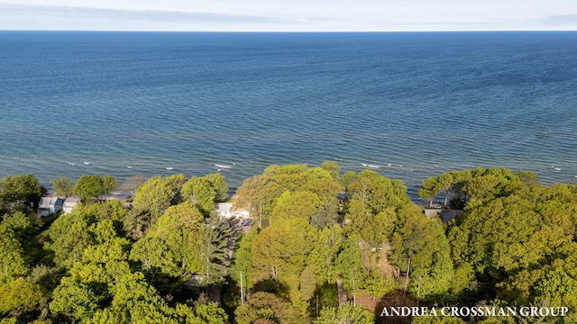 5011 Rosabelle Beach Ave, Holland, MI 49424 - aerial view of property and surrounding area with a large body of water