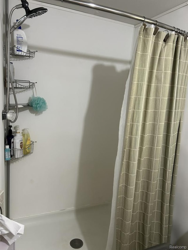 2999 Copeland Rd, Port Austin, MI 48467 - bathroom featuring a shower with shower curtain