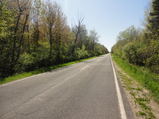 5925 113th Ave, Pullman, MI 49450 - view of asphalt street