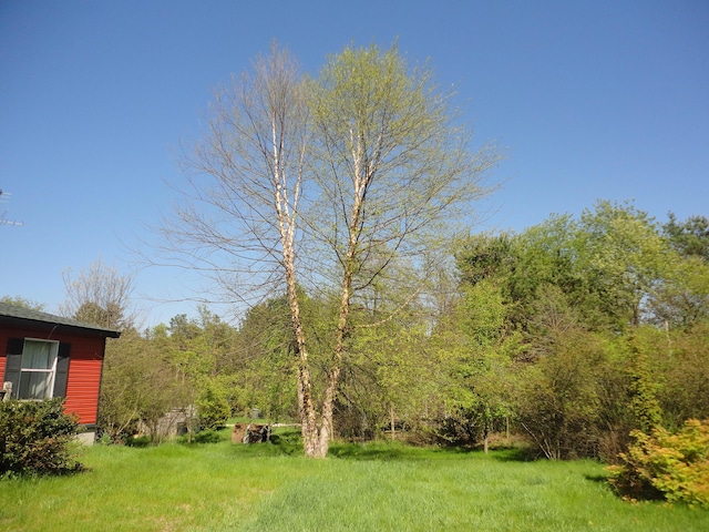 5925 113th Ave, Pullman, MI 49450 - view of yard