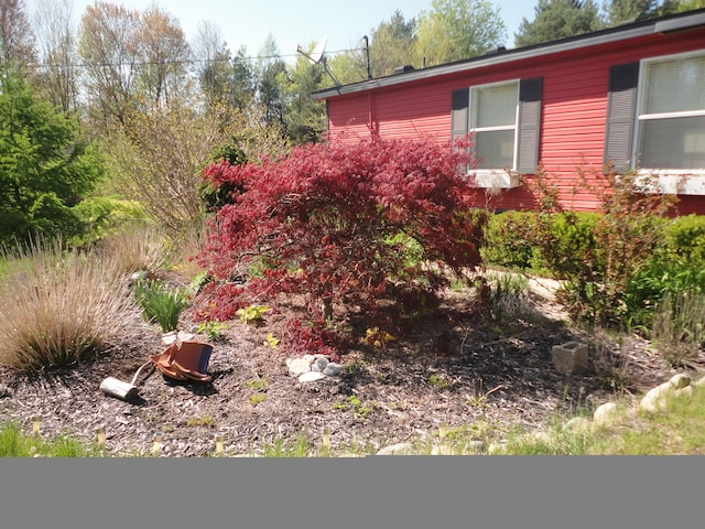 5925 113th Ave, Pullman, MI 49450 - view of side of home
