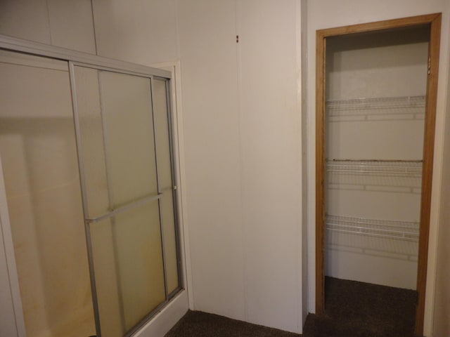 5925 113th Ave, Pullman, MI 49450 - view of closet