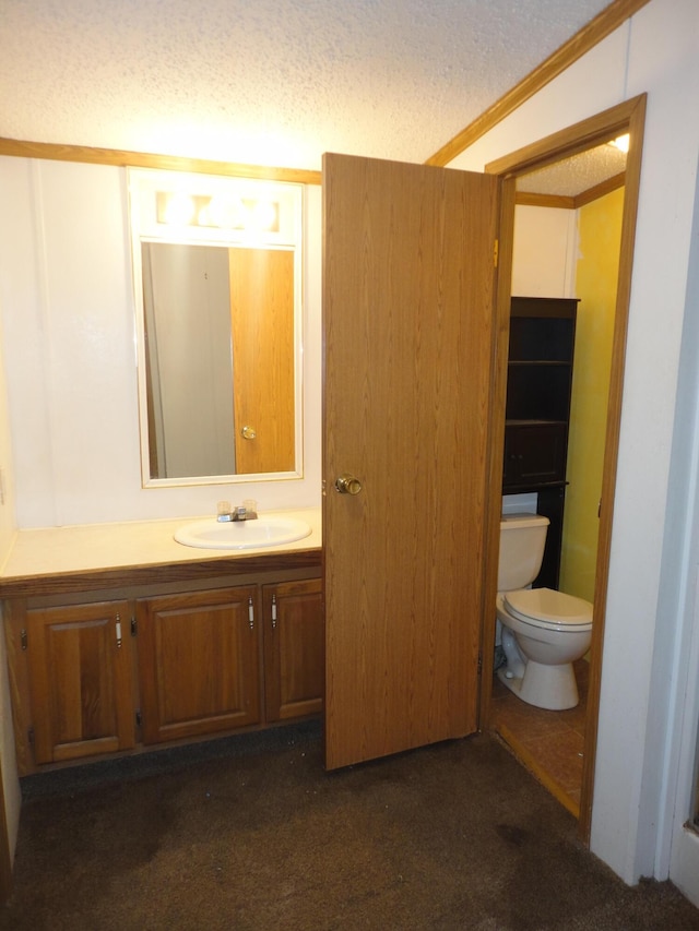 5925 113th Ave, Pullman, MI 49450 - bathroom featuring toilet, vanity, and a textured ceiling