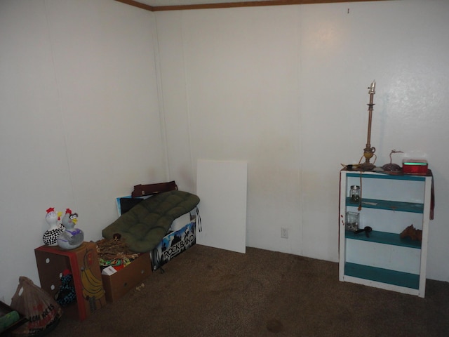 5925 113th Ave, Pullman, MI 49450 - interior space featuring carpet flooring