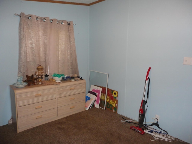 5925 113th Ave, Pullman, MI 49450 - recreation room featuring carpet floors