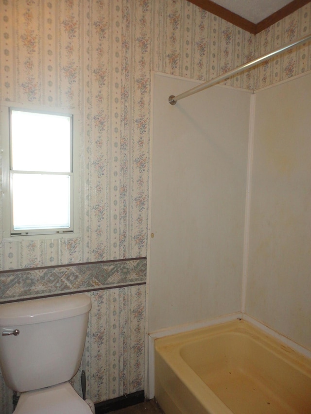 5925 113th Ave, Pullman, MI 49450 - full bathroom with a tub to relax in, toilet, and a shower