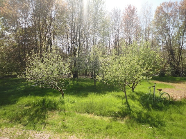 5925 113th Ave, Pullman, MI 49450 - view of yard