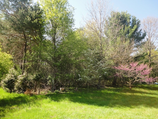 5925 113th Ave, Pullman, MI 49450 - view of yard
